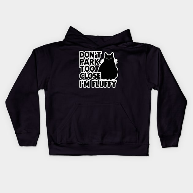 Don't Park Too Close I'm Fluffy Cute Cat Men Women Kids Kids Hoodie by AimArtStudio